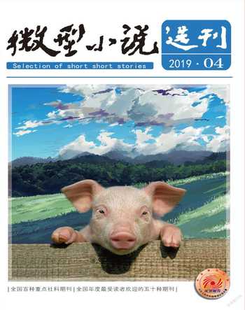 微型小说选刊2019年4期