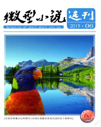 微型小说选刊2019年6期