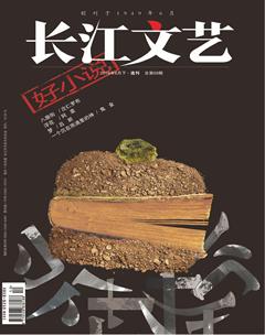 长江文艺·好小说2018年6期