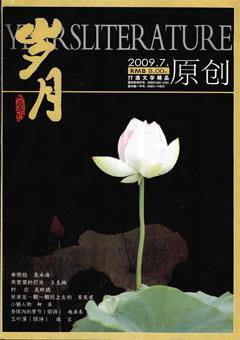 岁月2009年7期