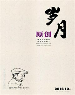 岁月2016年12期