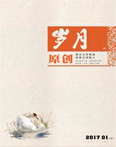 岁月2017年1期