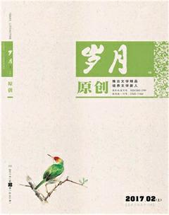 岁月2017年2期