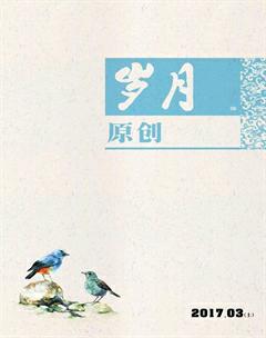 岁月2017年3期