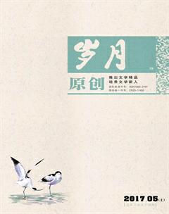 岁月2017年5期