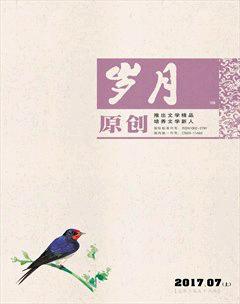 岁月2017年7期