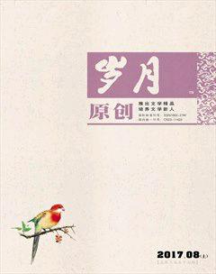 岁月2017年8期