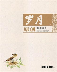 岁月2017年9期