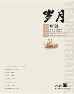 岁月2019年6期