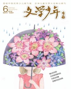 文学少年(小学版)2016年6期
