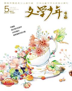 文学少年(小学版)2017年5期