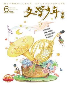 文学少年(小学版)2017年6期