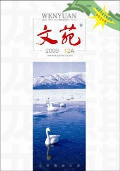 文苑·感悟2009年12期