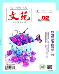 文苑·感悟2016年2期