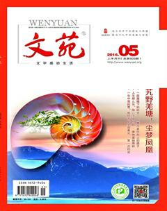 文苑·感悟2016年5期