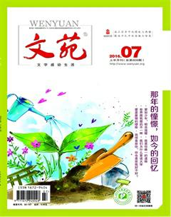 文苑·感悟2016年7期