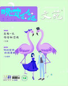 文苑·感悟2017年7期