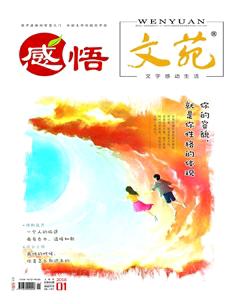 文苑·感悟2018年1期