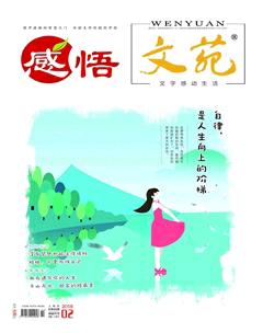 文苑·感悟2018年2期