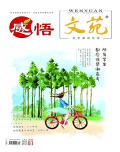 文苑·感悟2018年3期