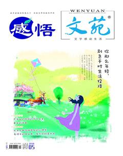 文苑·感悟2018年5期