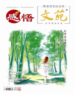 文苑·感悟2018年6期