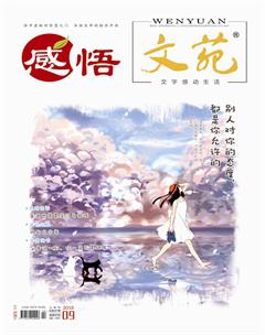 文苑·感悟2018年9期