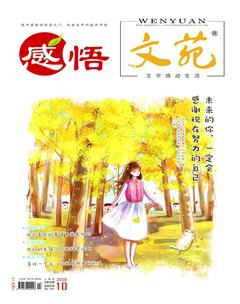 文苑·感悟2018年10期