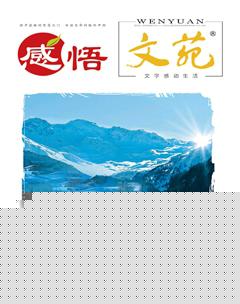 文苑·感悟2019年1期