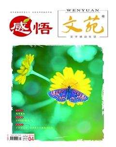 文苑·感悟2019年4期