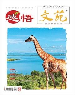 文苑·感悟2019年6期