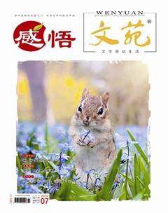 文苑·感悟2019年7期