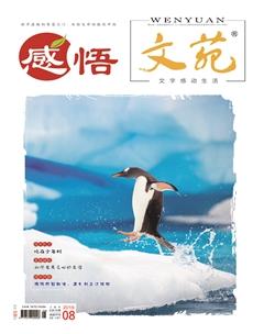 文苑·感悟2019年8期