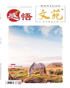 文苑·感悟2019年9期