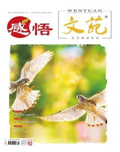 文苑·感悟2019年10期