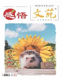 文苑·感悟2019年11期