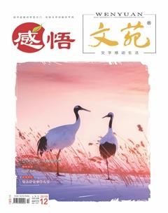 文苑·感悟2019年12期