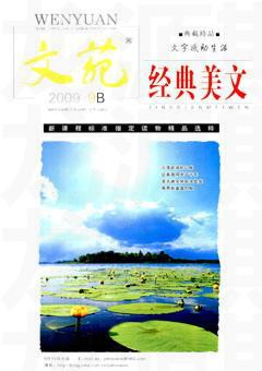 文苑·经典美文2009年9期