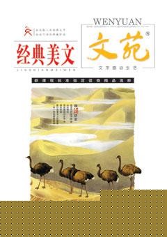 文苑·经典美文2011年11期