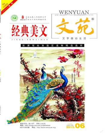 文苑·经典美文2015年6期