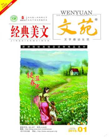 文苑·经典美文2016年1期