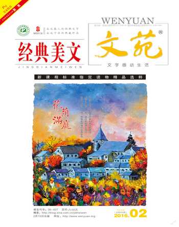 文苑·经典美文2016年2期