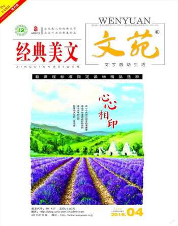 文苑·经典美文2016年4期