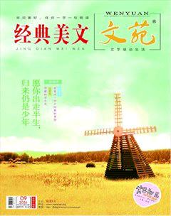 文苑·经典美文2016年9期