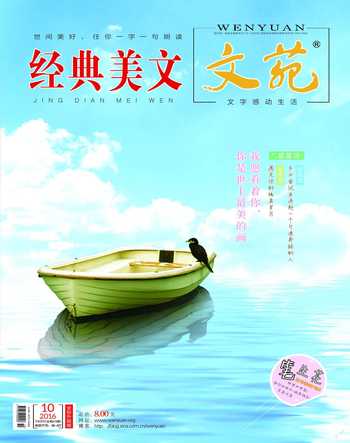 文苑·经典美文2016年10期
