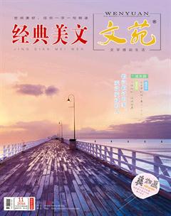 文苑·经典美文2016年11期