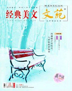 文苑·经典美文2016年12期