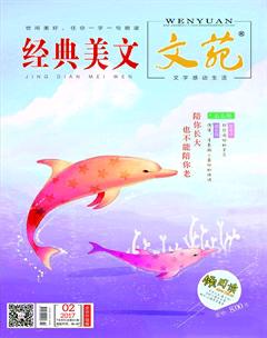 文苑·经典美文2017年2期