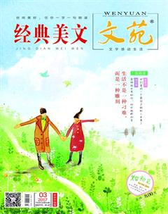 文苑·经典美文2017年3期