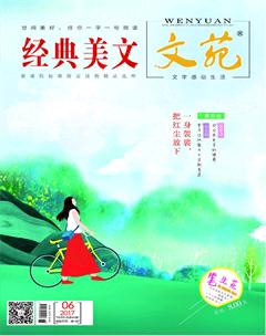 文苑·经典美文2017年6期